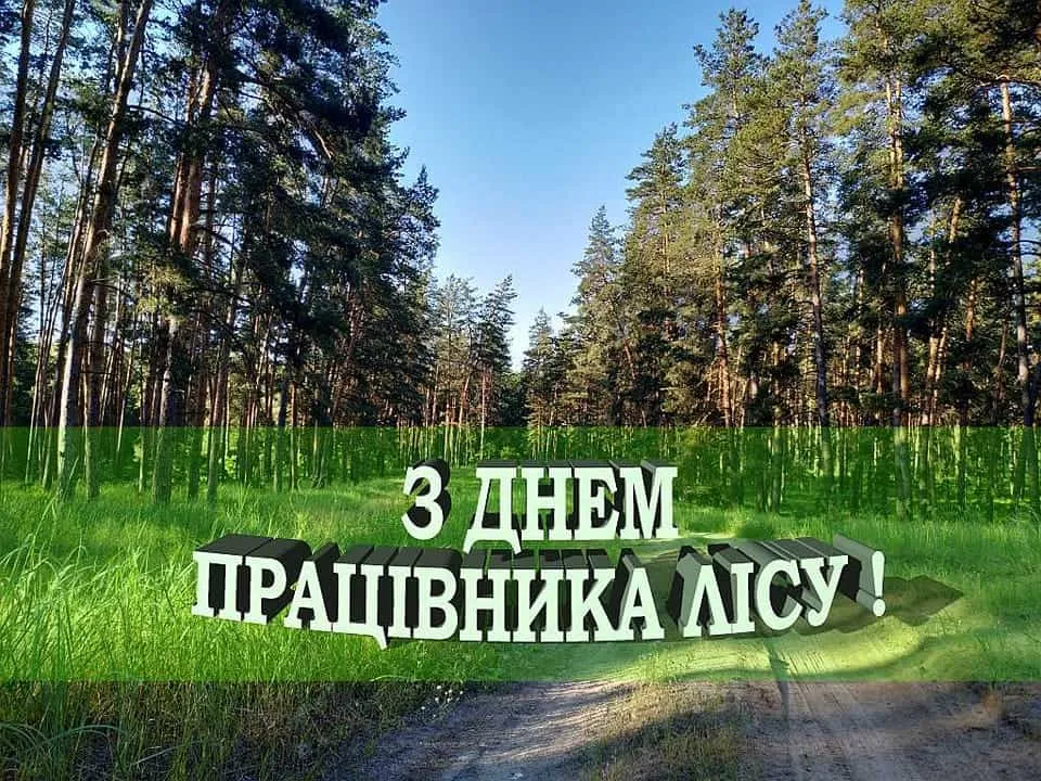 Привітання з Днем лісівника 2026: щирі в прозі, прикольні та короткі побажання в картинках