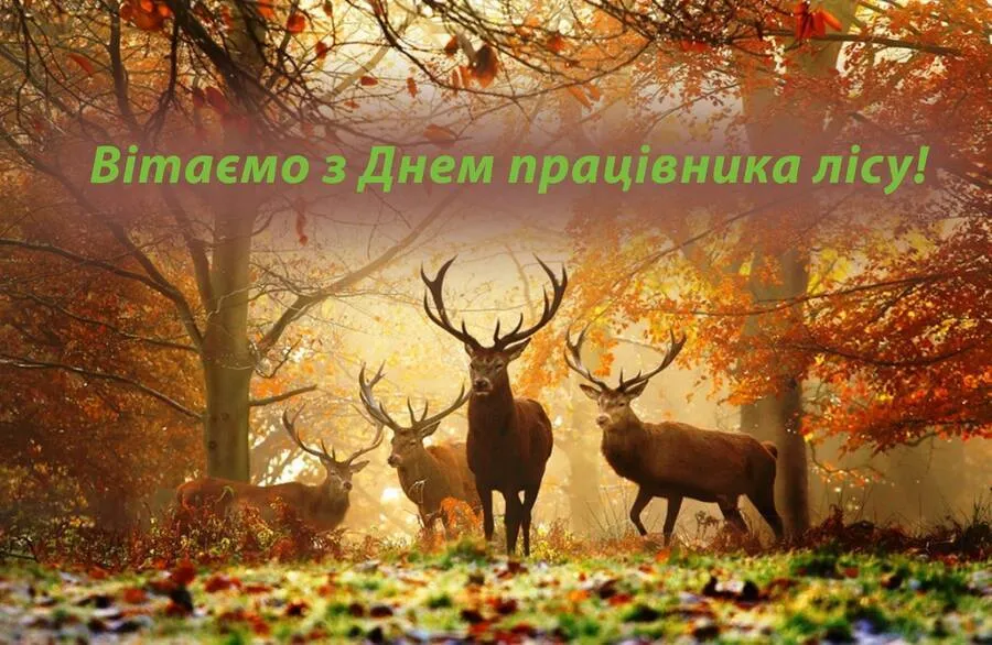 Привітання з Днем лісівника 2026: щирі в прозі, прикольні та короткі побажання в картинках