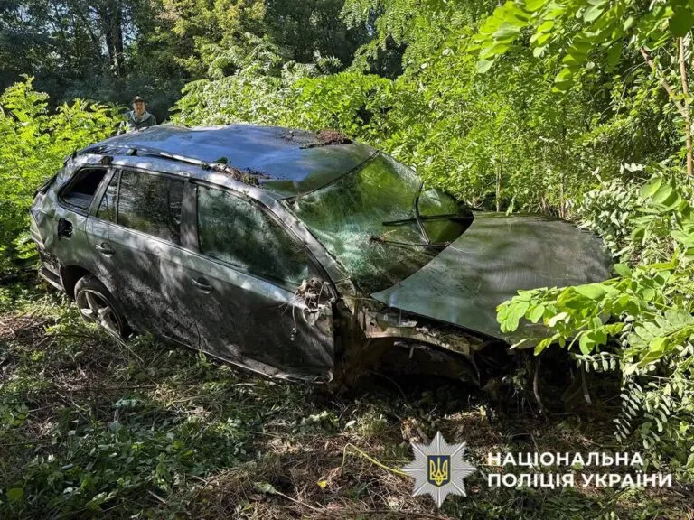 ДТП на Буковині: молодий водій не впорався з кермом та влетів у кювет
