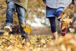 Коли учні Чернівців підуть на канікули: не відпочиватиме лише один ліцей