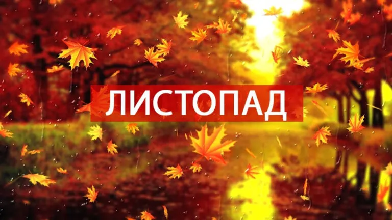 Що зміниться з 1 листопада: виплати, бронювання і нові правила для грошей